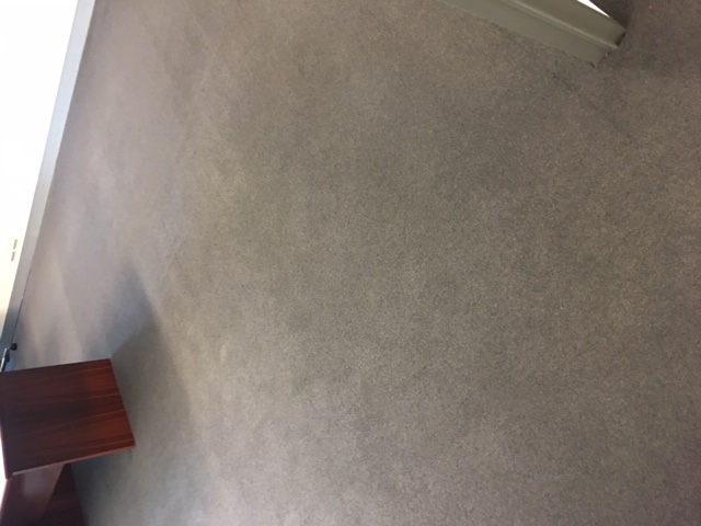 Carpet Flood 2 - After